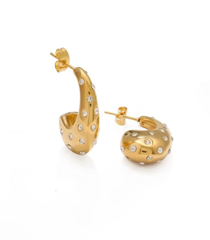 Elegant Shine Earrings