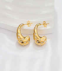 Elegant Shine Earrings