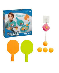 Indoor Exercise & Coordination Game Set