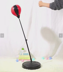 Boxing Speed Ball