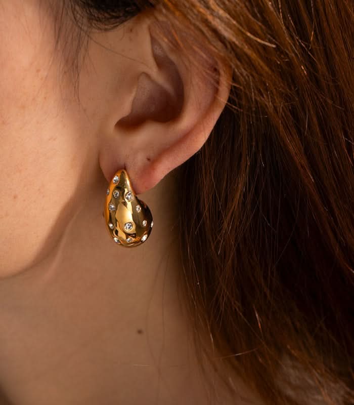 Elegant Shine Earrings
