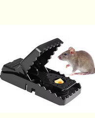 Plastic Mouse Trap | Safe & Reusable Pest Control
