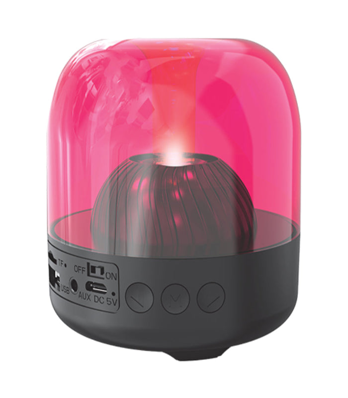 Portable Bluetooth Speaker